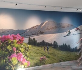 Wandgestaltung 20241015 110511